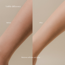 Load image into Gallery viewer, Warm Vanilla | Body Lotion [Xmas 2025]
